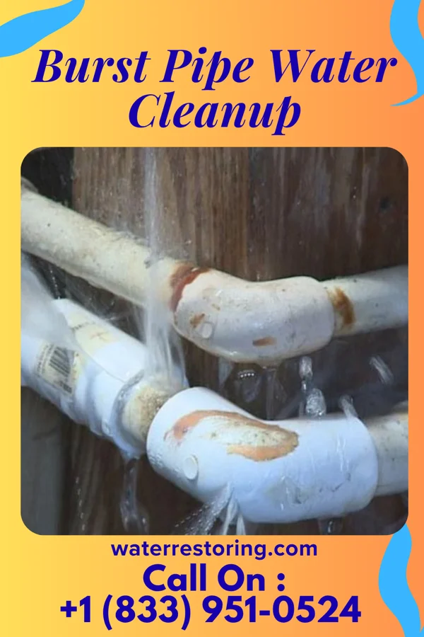 Burst Pipe Water Cleanup in Rockville, SC