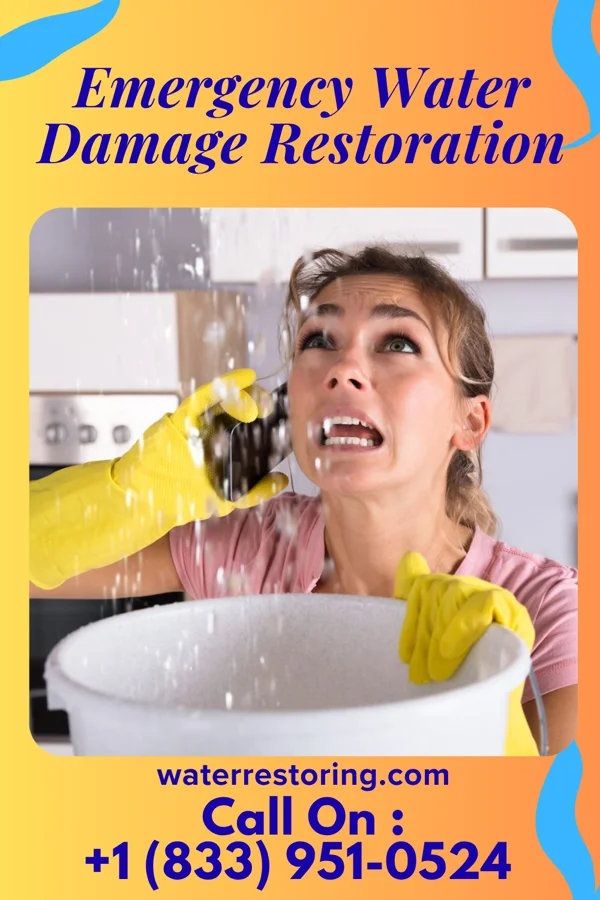 Emergency Water Damage Restoration in Rockville, SC