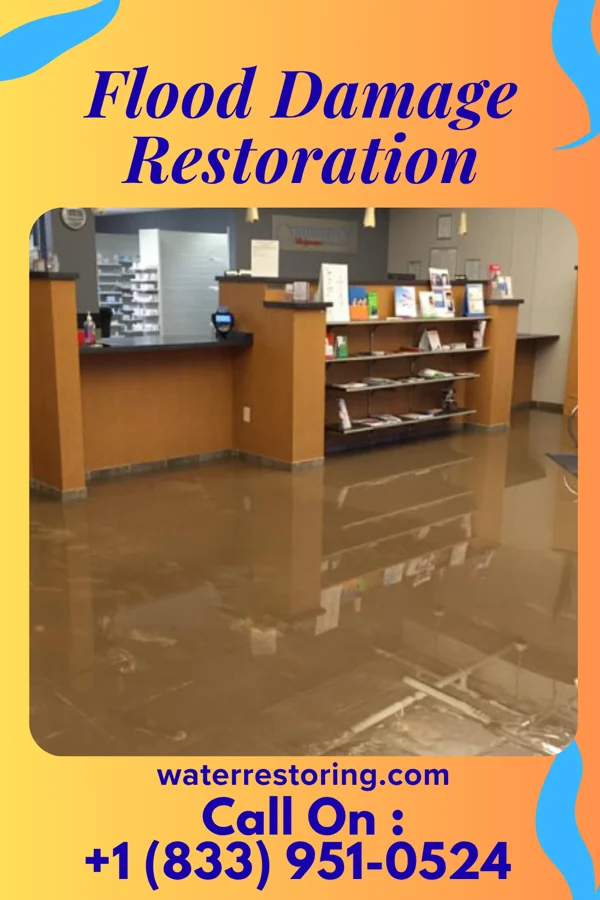 Flood Damage Restoration in Rockville, SC