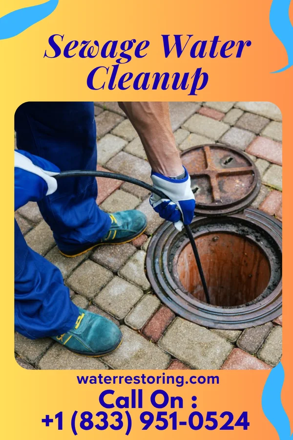 Sewage Water Cleanup in Rockville, SC