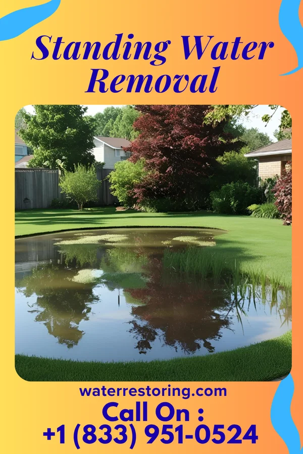Standing Water Removal in Rockville, SC